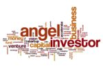 Worlwide Angel Investor Database Preseted By digitaldeal